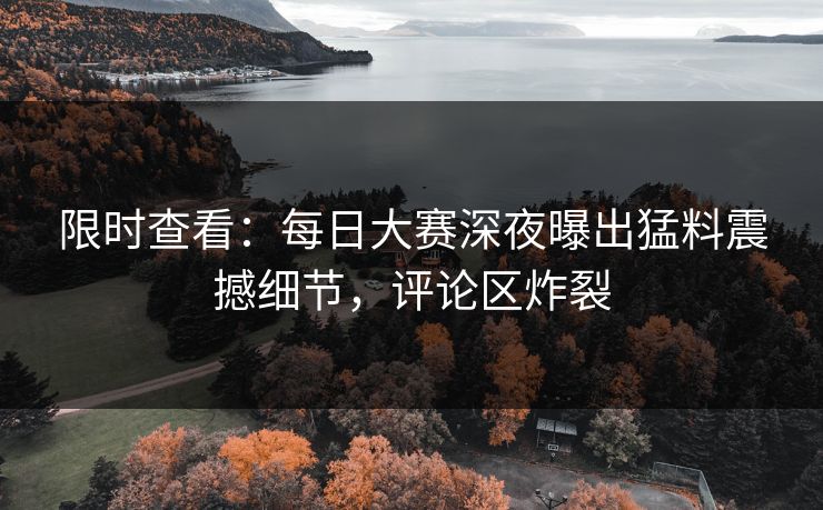 限时查看：每日大赛深夜曝出猛料震撼细节，评论区炸裂