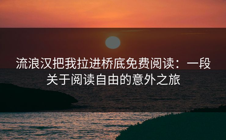 流浪汉把我拉进桥底免费阅读：一段关于阅读自由的意外之旅