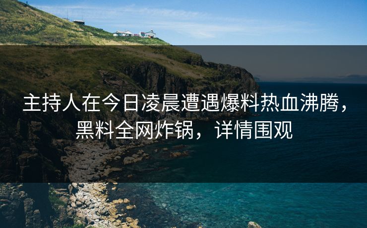 主持人在今日凌晨遭遇爆料热血沸腾，黑料全网炸锅，详情围观