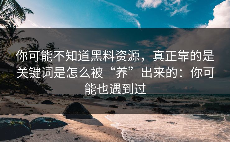你可能不知道黑料资源，真正靠的是关键词是怎么被“养”出来的：你可能也遇到过