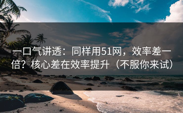一口气讲透：同样用51网，效率差一倍？核心差在效率提升（不服你来试）